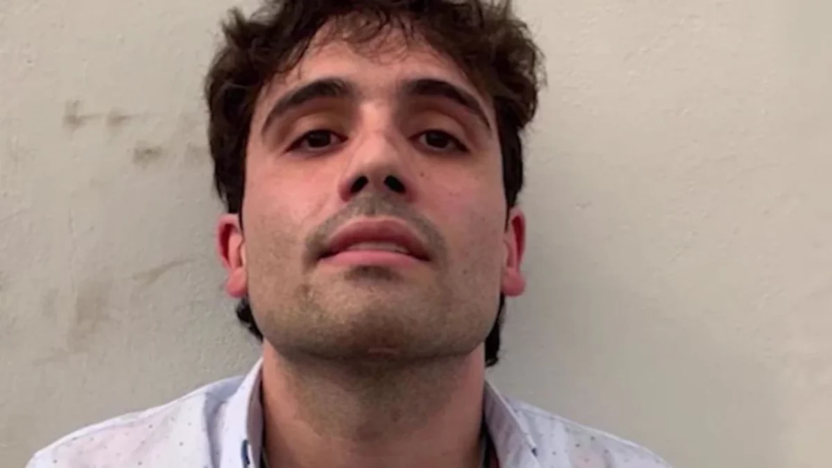 Ovidio Guzmán López, hijo de "El Chapo" Guzmán, podría alcanzar una sentencia de cadena perpetua tras declararse culpable de cuatro cargos.