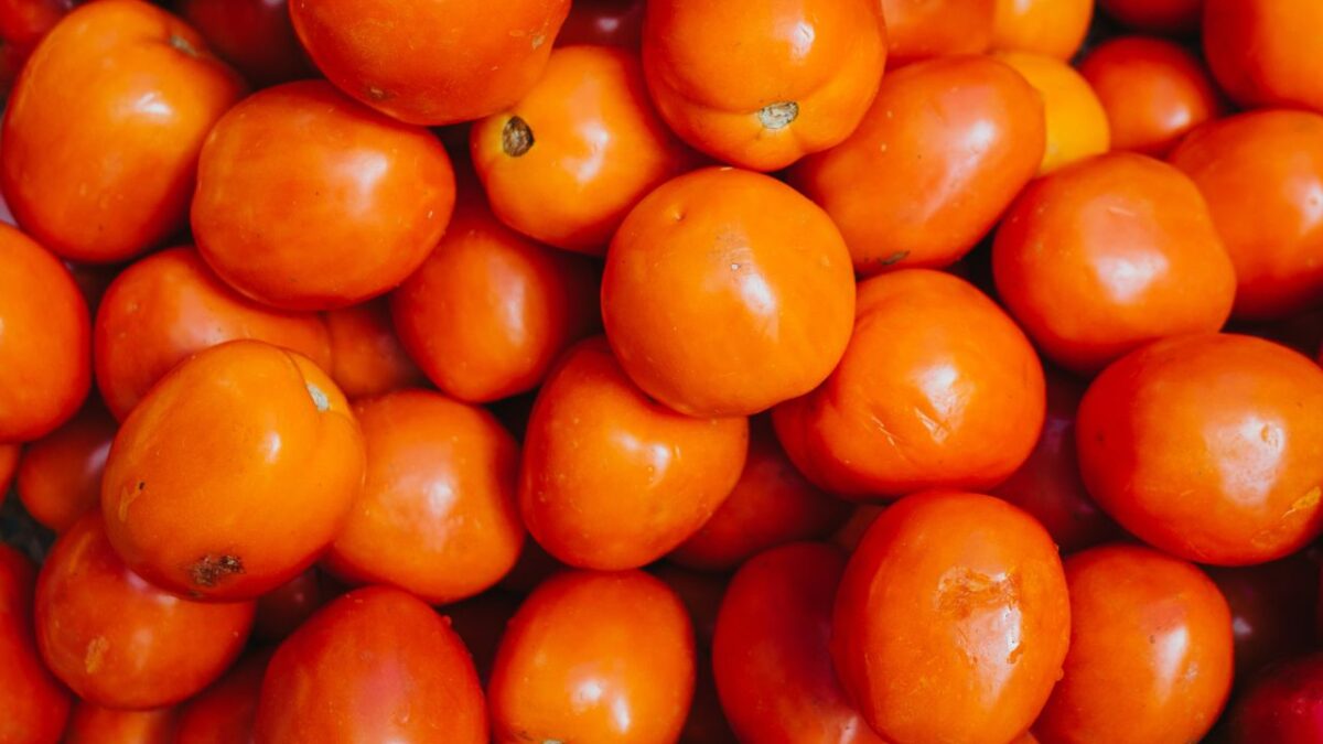 El Consejo Nacional Agropecuario (CNA) expresó su preocupación preocupación por la “decisión unilateral" de imponer aranceles al tomate.