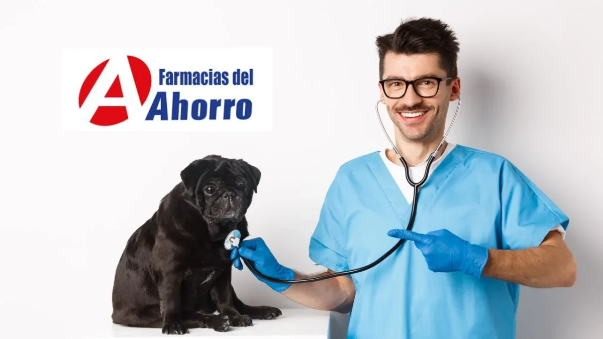 Descubre el nuevo proyecto de consultas médicas veterinarias gratuitas que ofrecerá Farmacias del Ahorro para que cuides de tu mascota.