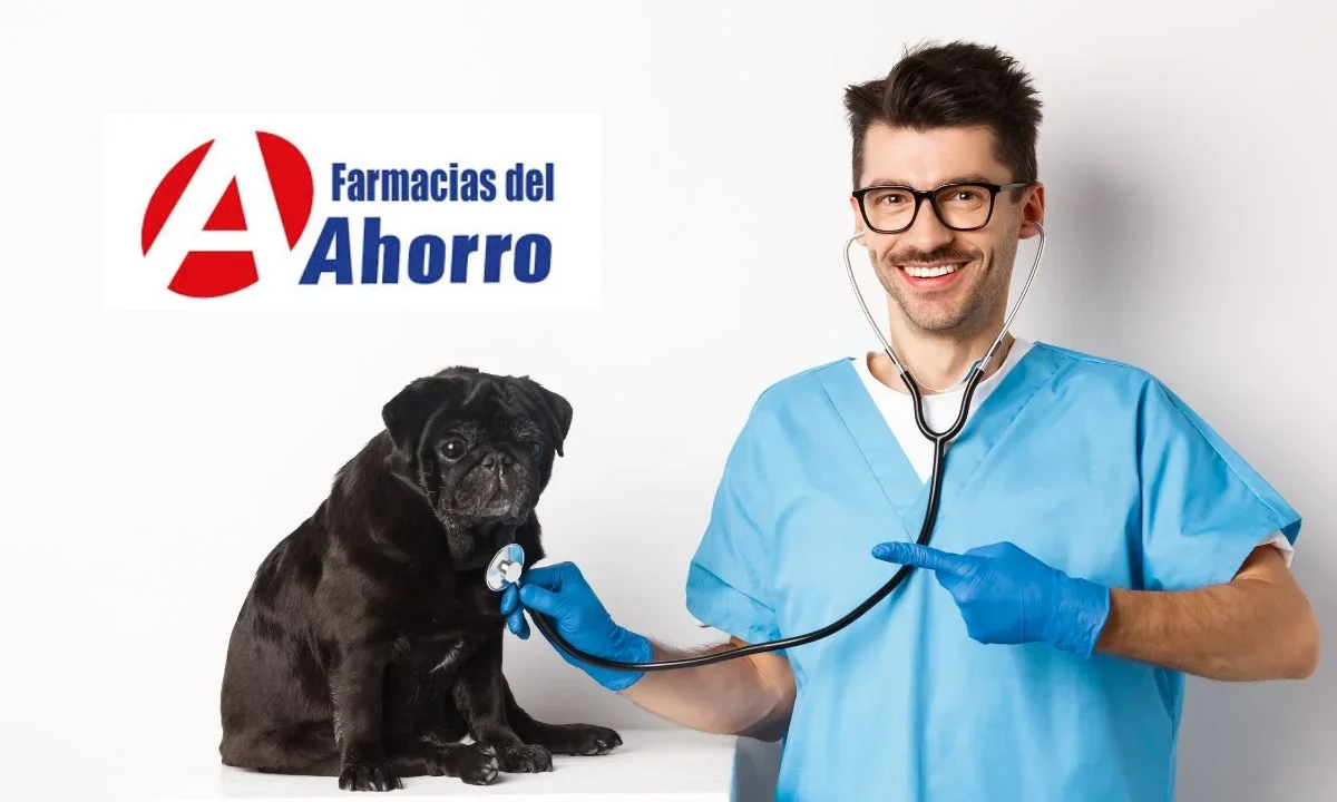 Descubre el nuevo proyecto de consultas médicas veterinarias gratuitas que ofrecerá Farmacias del Ahorro para que cuides de tu mascota.