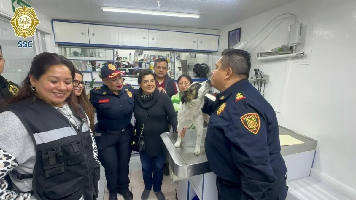 Autoridades capitalinas descartaron que un efectivo de la Policía Bancaria e Industrial haya agredido a una perrita en la alcaldía Tlalpan.