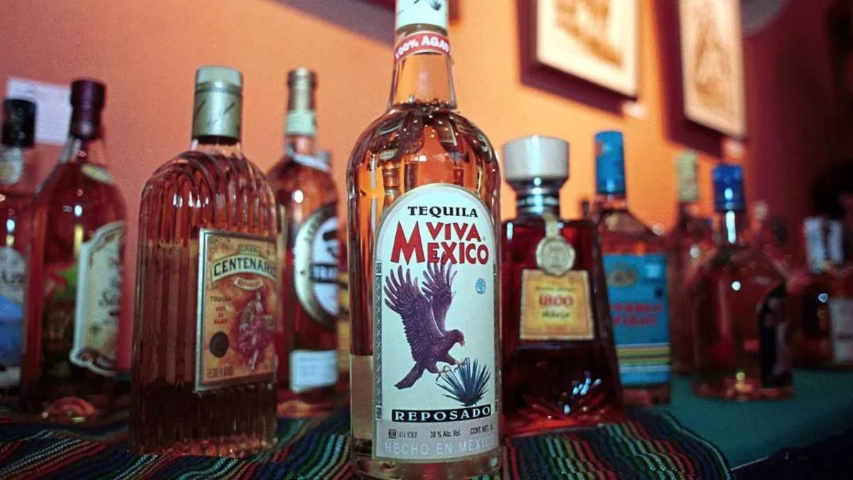 Para celebrar el Día Internacional del Tequila 2025 te diremos cuántos tipos de tequilas existen.
