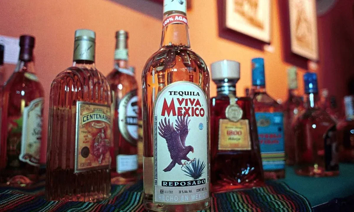 Para celebrar el Día Internacional del Tequila 2025 te diremos cuántos tipos de tequilas existen.