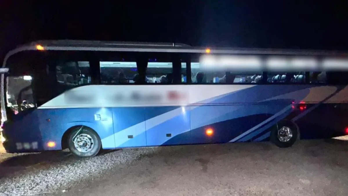 FGR decomisa 200 mil pastillas de fentanilo ocultas en autobús en Sonora.