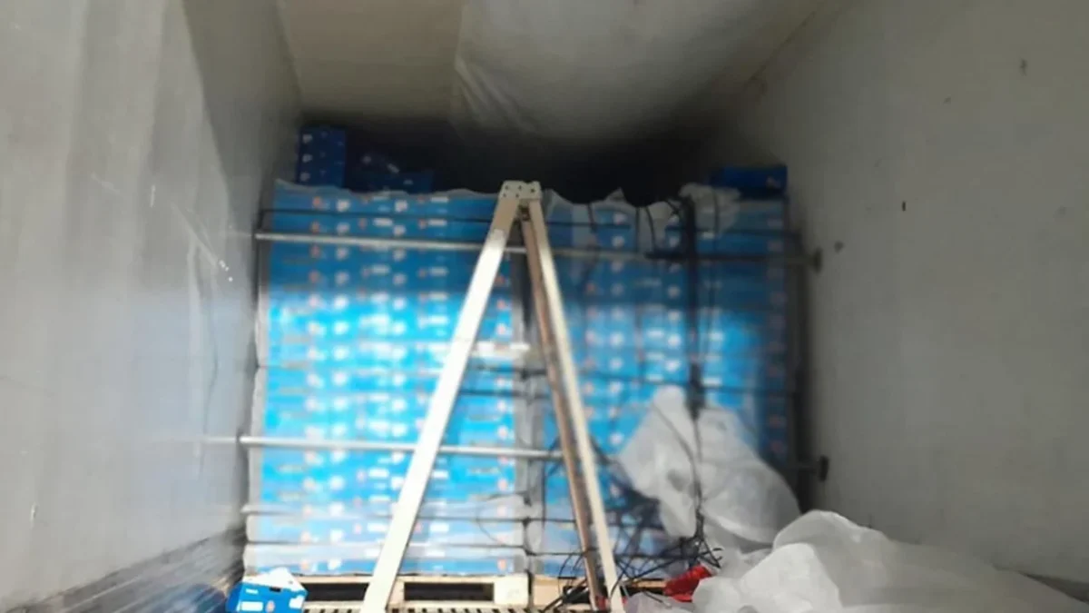 SLP incauta cocaína