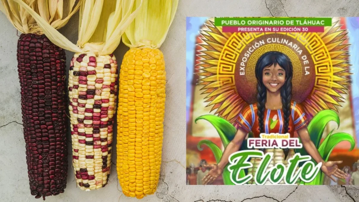 Descubre todos los detalles de la próxima Feria del Elote y la Tortilla 2025 que se realizará en la CDMX y disfruta su oferta gastronómica.
