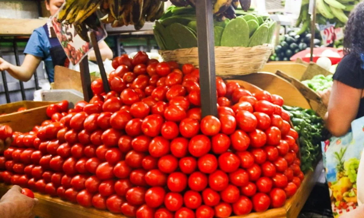 Secretarías de Economía y Agricultura tachan de 'injusto' el arancel al tomate