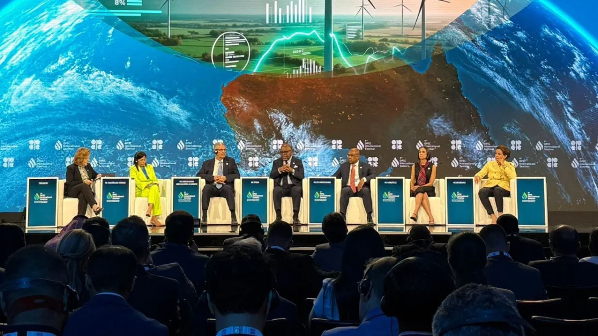 Luz Elena González resalta estrategia de México en el sector energético en OPEP.