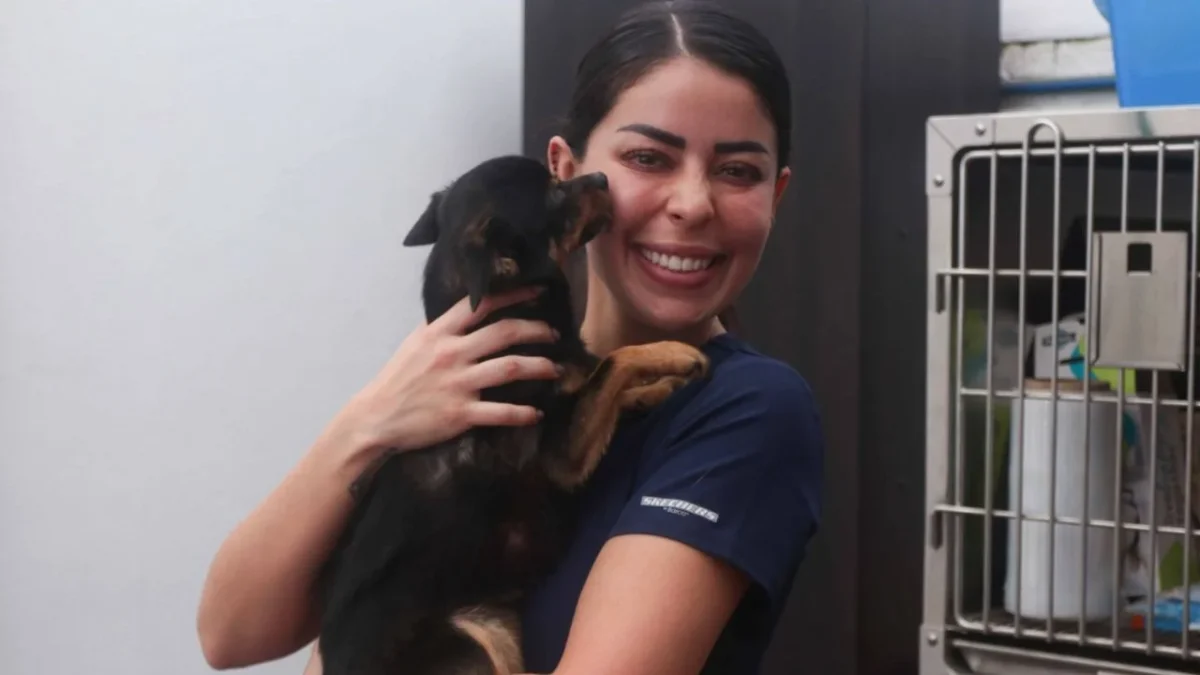 Centro de Transferencia Canina del Metro celebra octavo aniversario y llama a la adopción