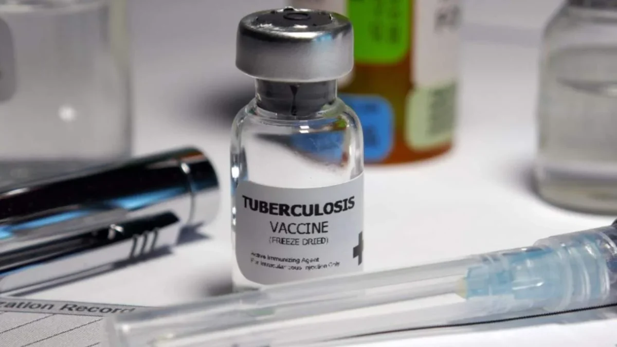 El secretario de Salud, David Kershenobich, informó sobre la escasez de vacunas BCG contra la tuberculosis y la revisión de nuevos lotes.