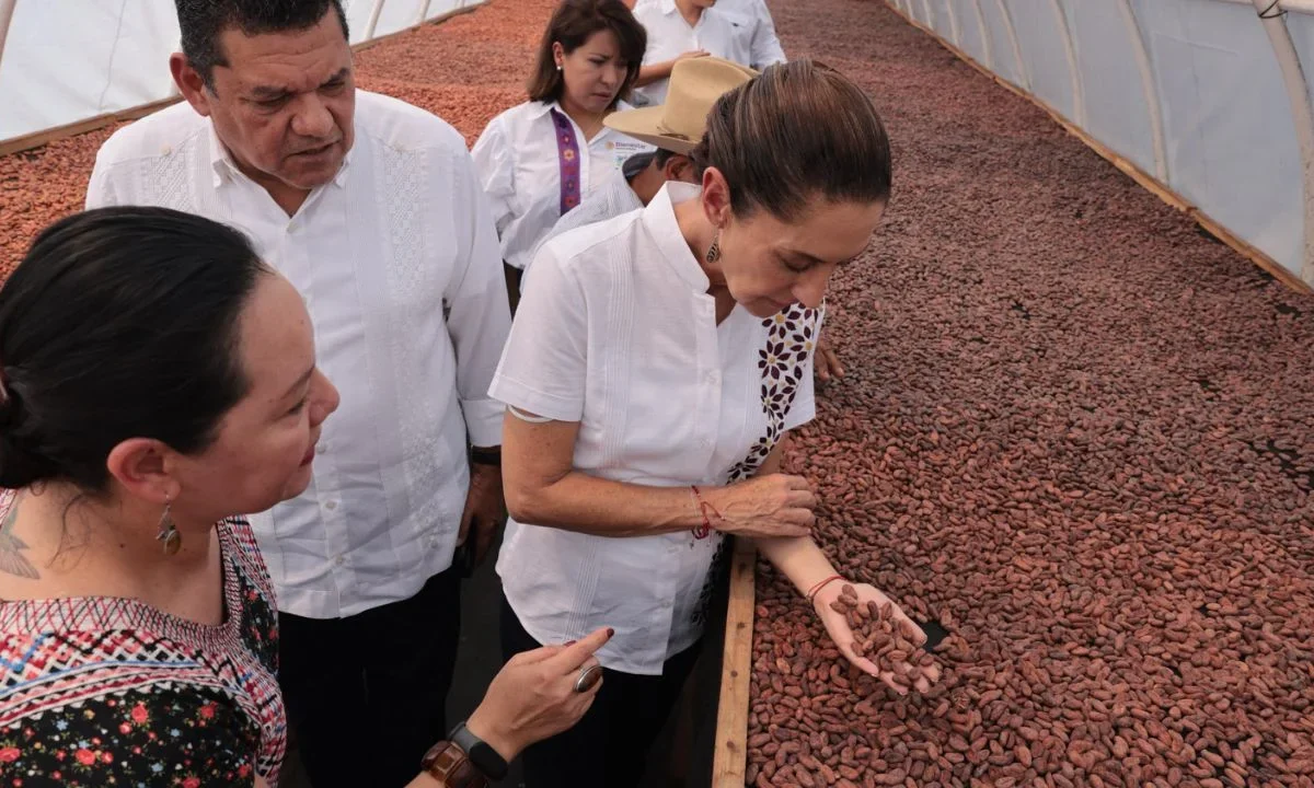Sheinbaum visitó un vivero en Tabasco que forma parte del programa Sembrando Vida, donde se produce cacao para el Chocolate del Bienestar.