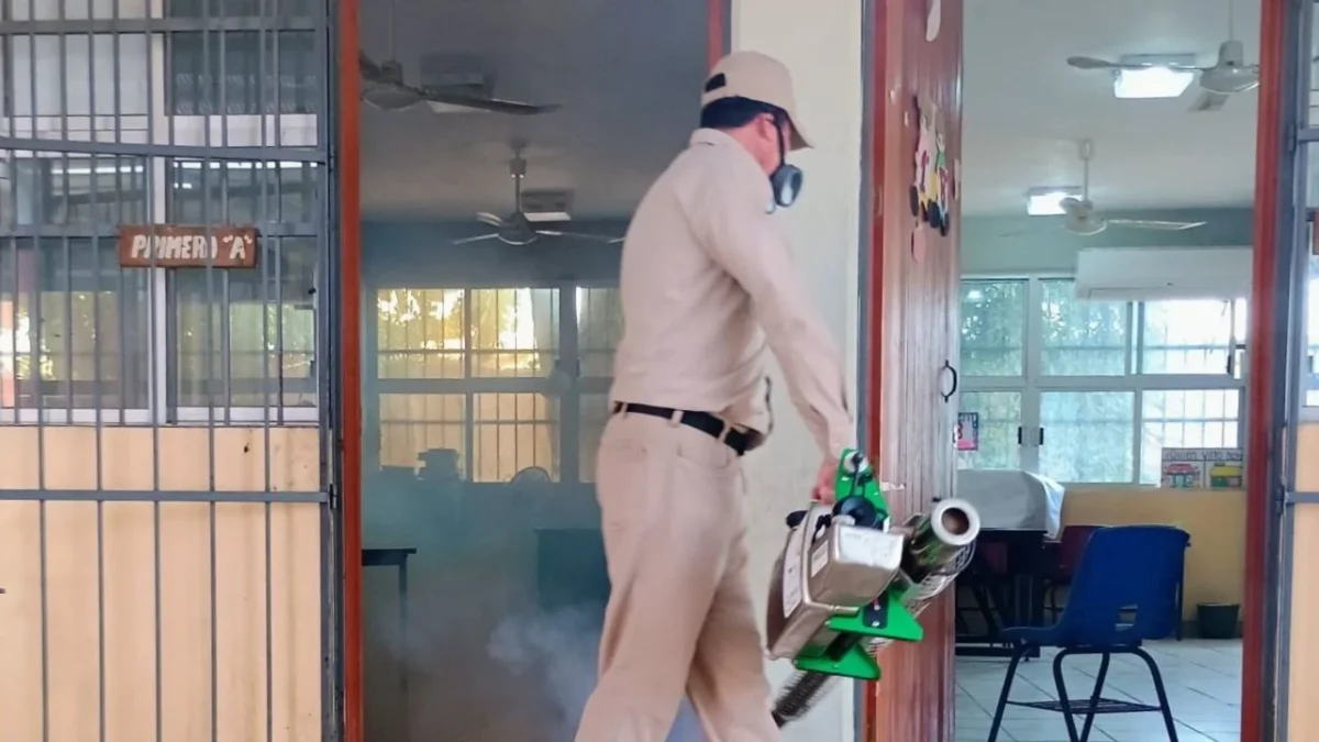 En Campeche, las acciones contra el dengue son permanentes con vigilancia entomológica, control larvario y eliminación del mosquito.