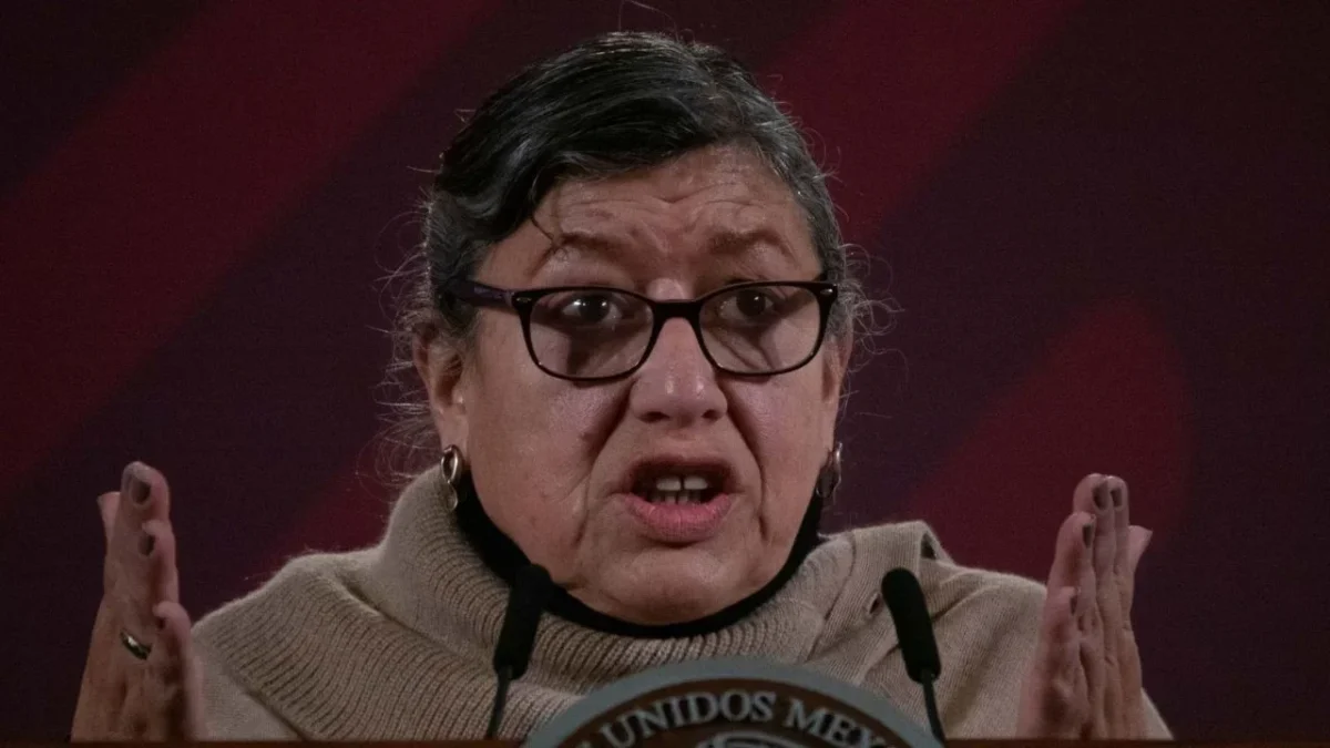 Teresa Reyes renunció a la Comisión Nacional de Búsqueda (CNB).