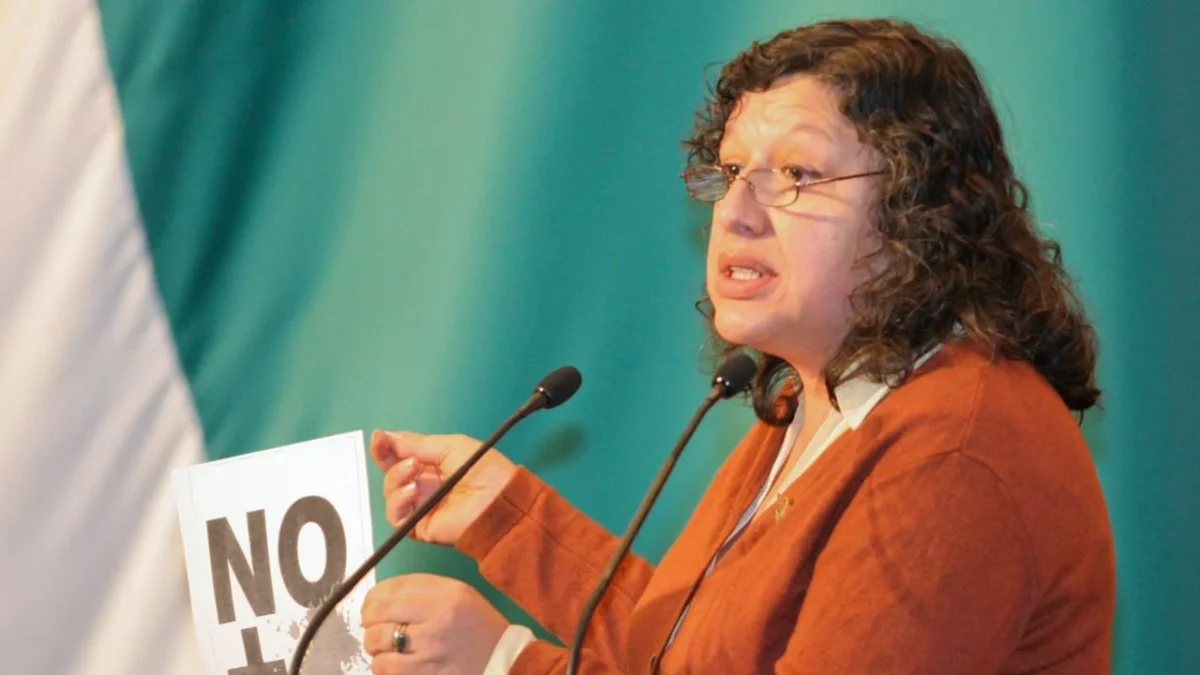 A su paso por la Comisión Nacional de Búsqueda, Teresa Reyes, hizo gala de incompetencia, además de revictimizar a las familias, afirmó un activista.