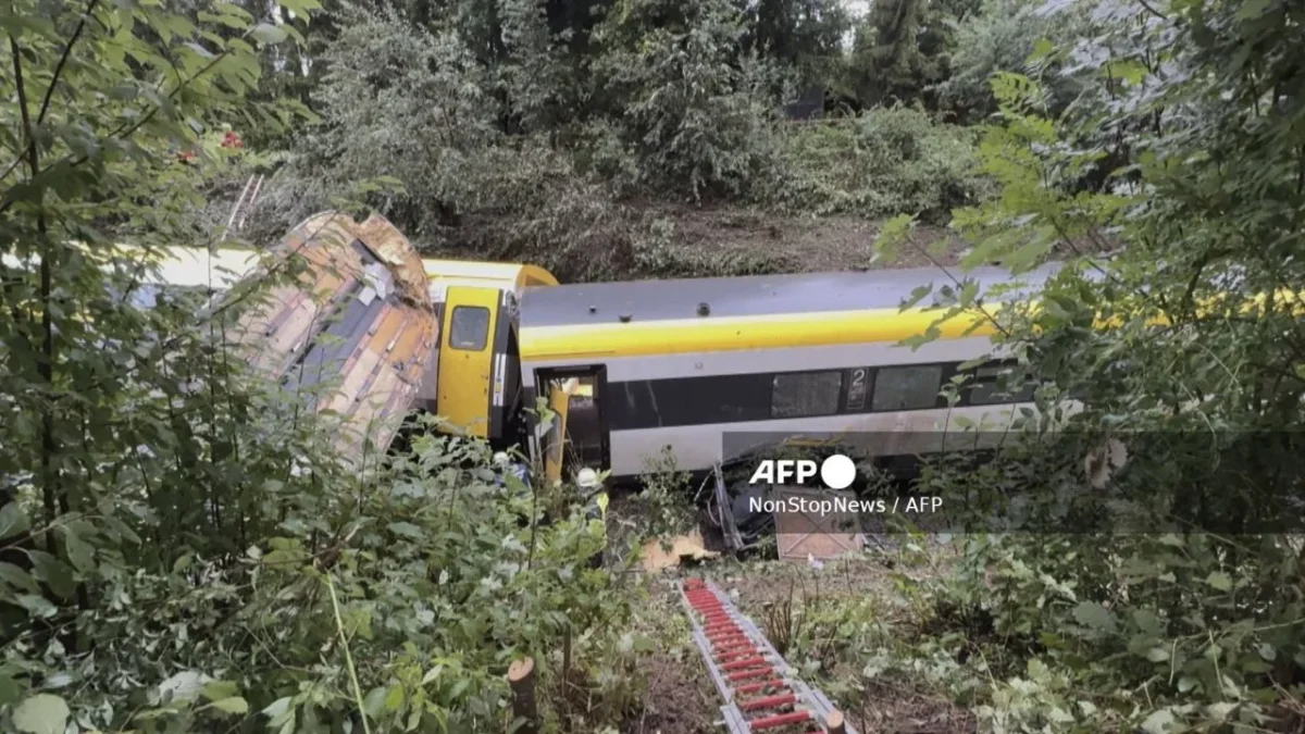 Tres personas murieron y varias quedaron heridas cuando un tren de pasajeros descarriló en una zona boscosa en Alemania.