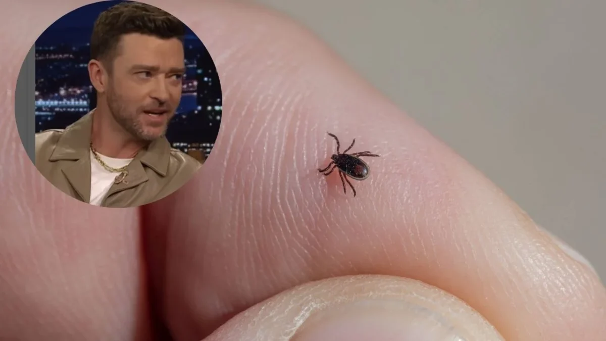 La enfermedad de Lyme es endémica en regiones del noreste de Estados Unidos, Canadá, partes de Europa y Asia