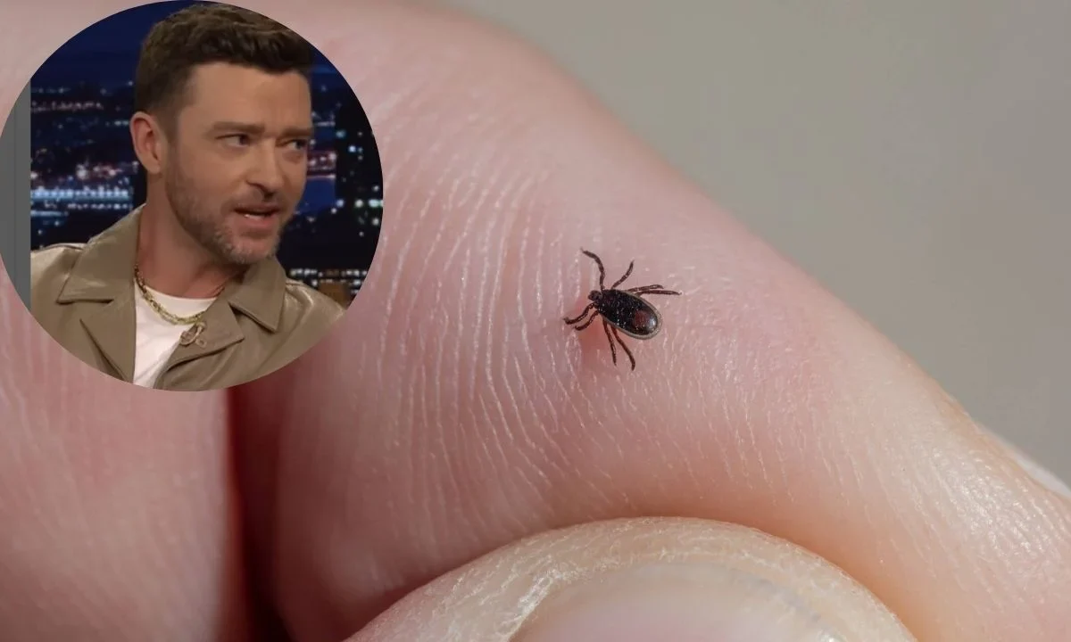 La enfermedad de Lyme es endémica en regiones del noreste de Estados Unidos, Canadá, partes de Europa y Asia