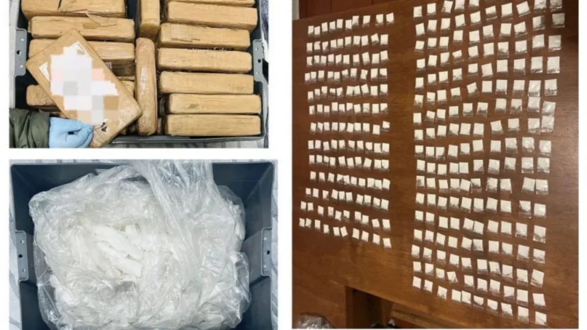 Aseguran droga en Coyoacán y Tlalpan con valor de 12 mdp