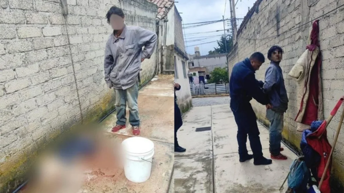 Cae maltratador de perros en Ocoyoacac, EdoMéx