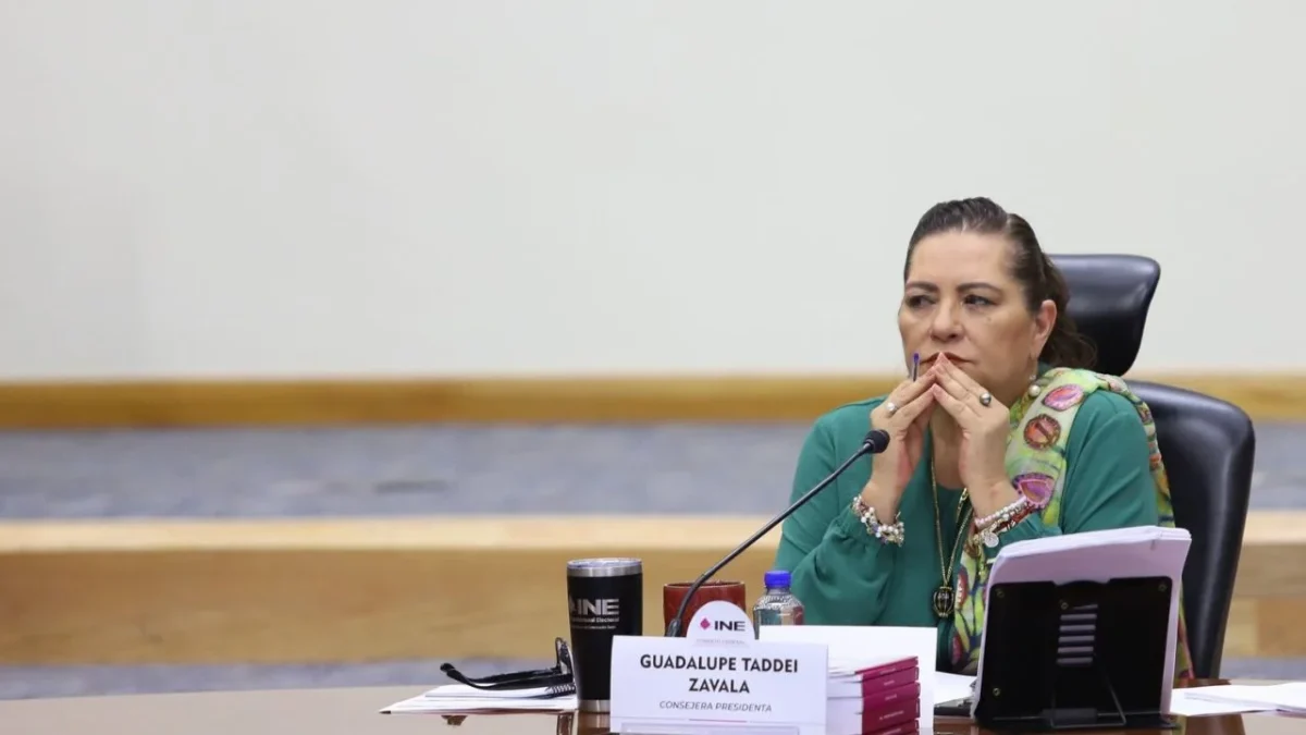 Comisión Presidencial para reforma electoral aceptó opinión técnica del INE: Taddei