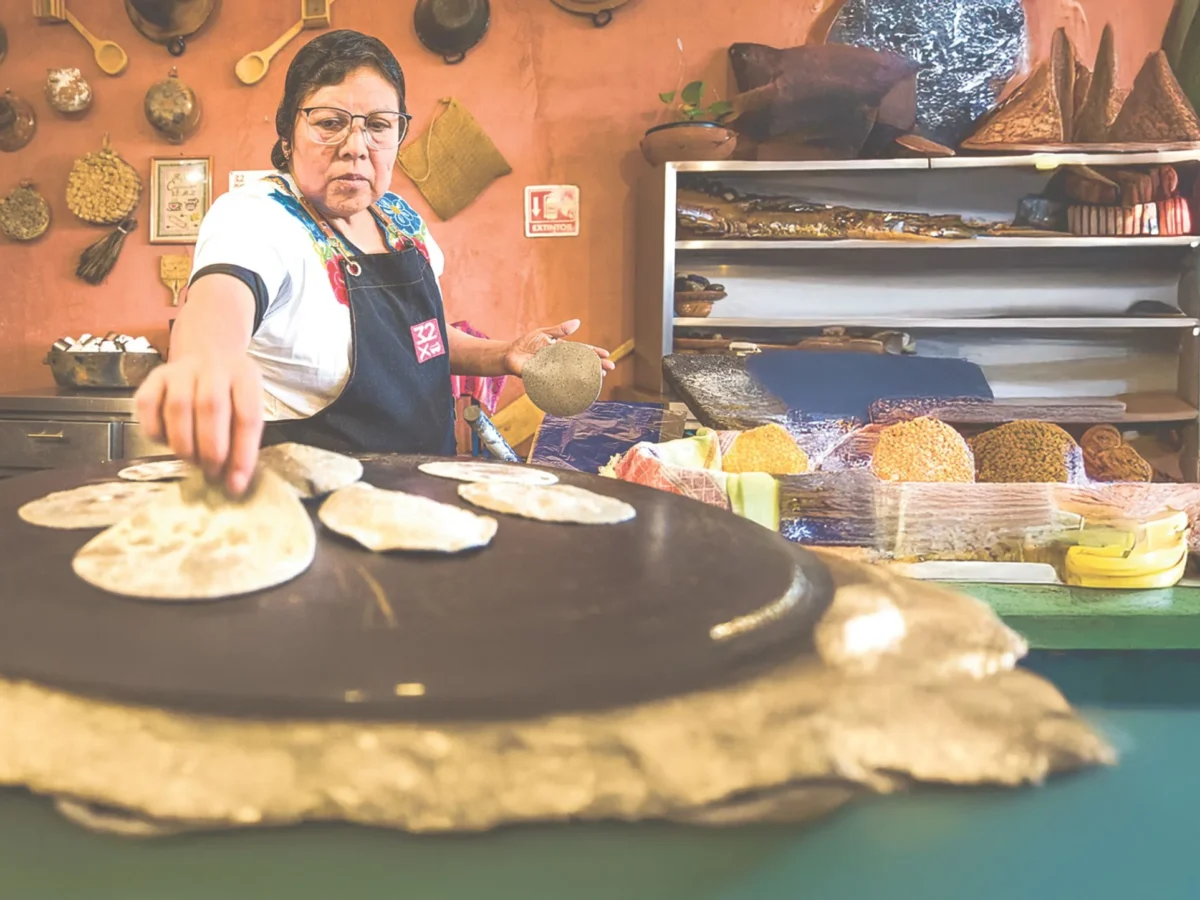 Fogones de México “es el fruto de más de una década de trabajo”, concluyó Luis Llanos