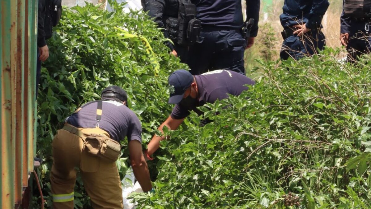 Hallan cuerpo de menor que cayó a canal de aguas negras en Hidalgo
