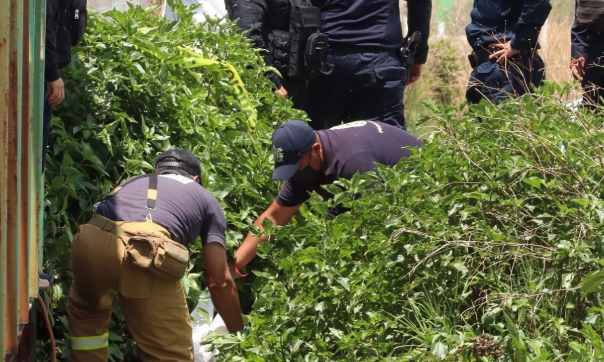 Hallan cuerpo de menor que cayó a canal de aguas negras en Hidalgo