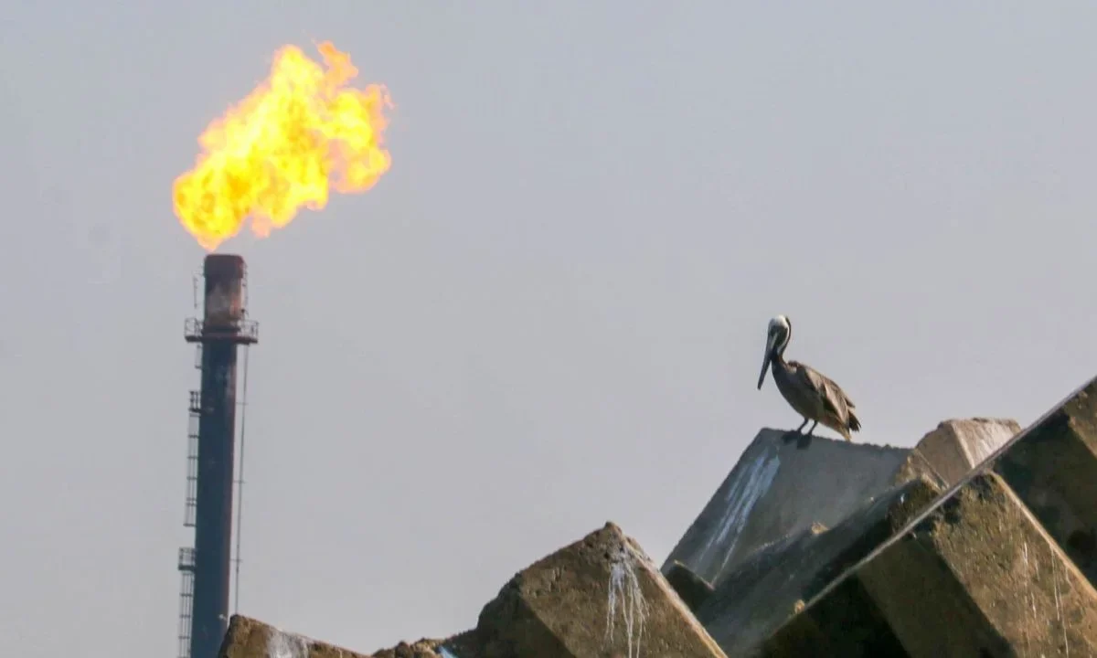 Inyectan 250 mil mdp para rescatar a Pemex