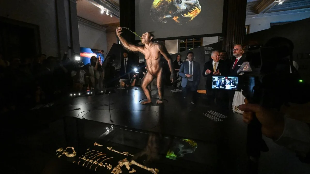 Los 52 fragmentos de Lucy se exhibirán durante 60 días como parte de la exposición Orígenes humanos y fósiles