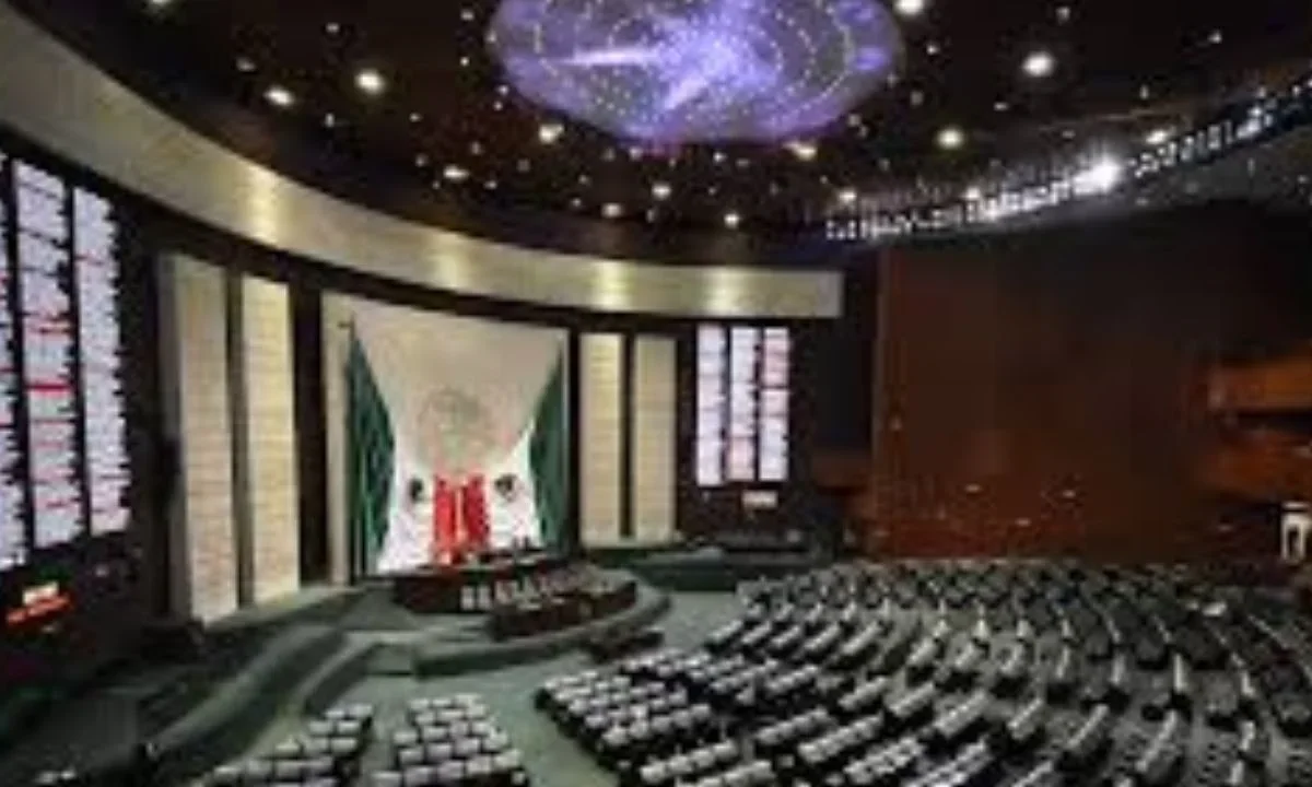 PT arropa a foro alterno feminista en la Cámara de Diputados