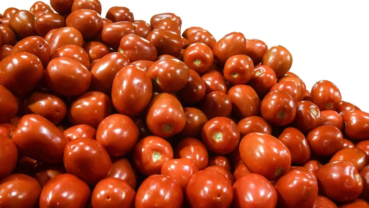 $23 pesos es el precio promedio del tomate rojo mexicano en estos momentos