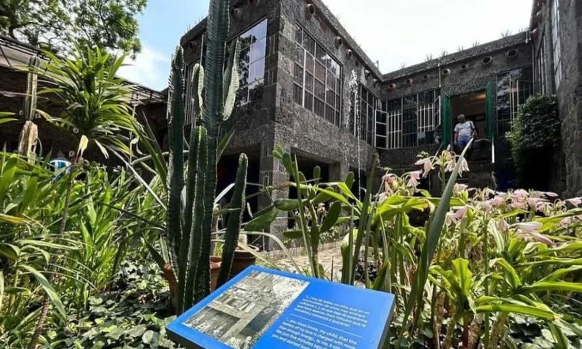 El Museo de Frida Kahlo inauguró su programa "Noche Azul", una propuesta cultural que ofrece recorridos nocturnos