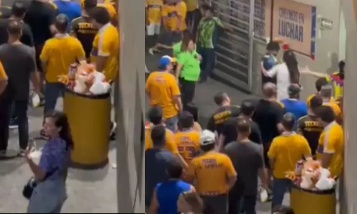 Riña en el América vs Tigres deja lesionados, Liga MX rechaza violencia