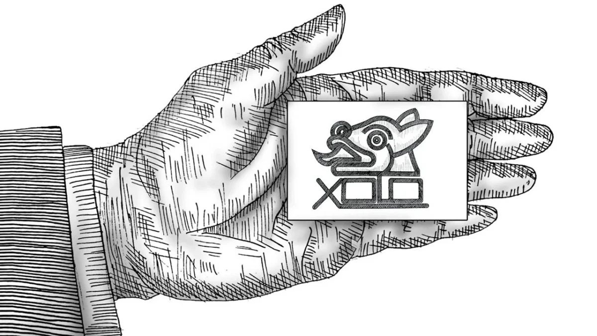 Columna de Xolo Cartón