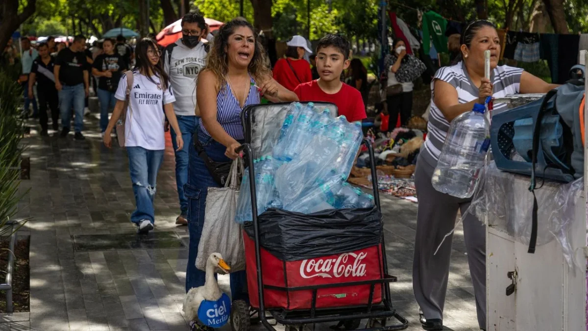 Carla señaló que su hijo está pendiente del pato para recogerlo ante algún peligro; sin embargo, llamó a los capitalinos que transitan con sus perros a dejarles el camino libre para evitar riesgos.