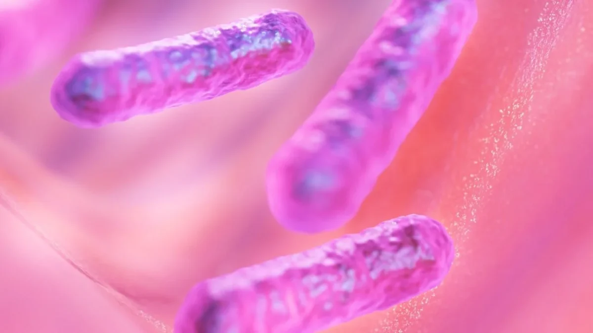 Aguas cálidas empujan al norte de Estados Unidos a bacteria ‘carnívora’, reportan.