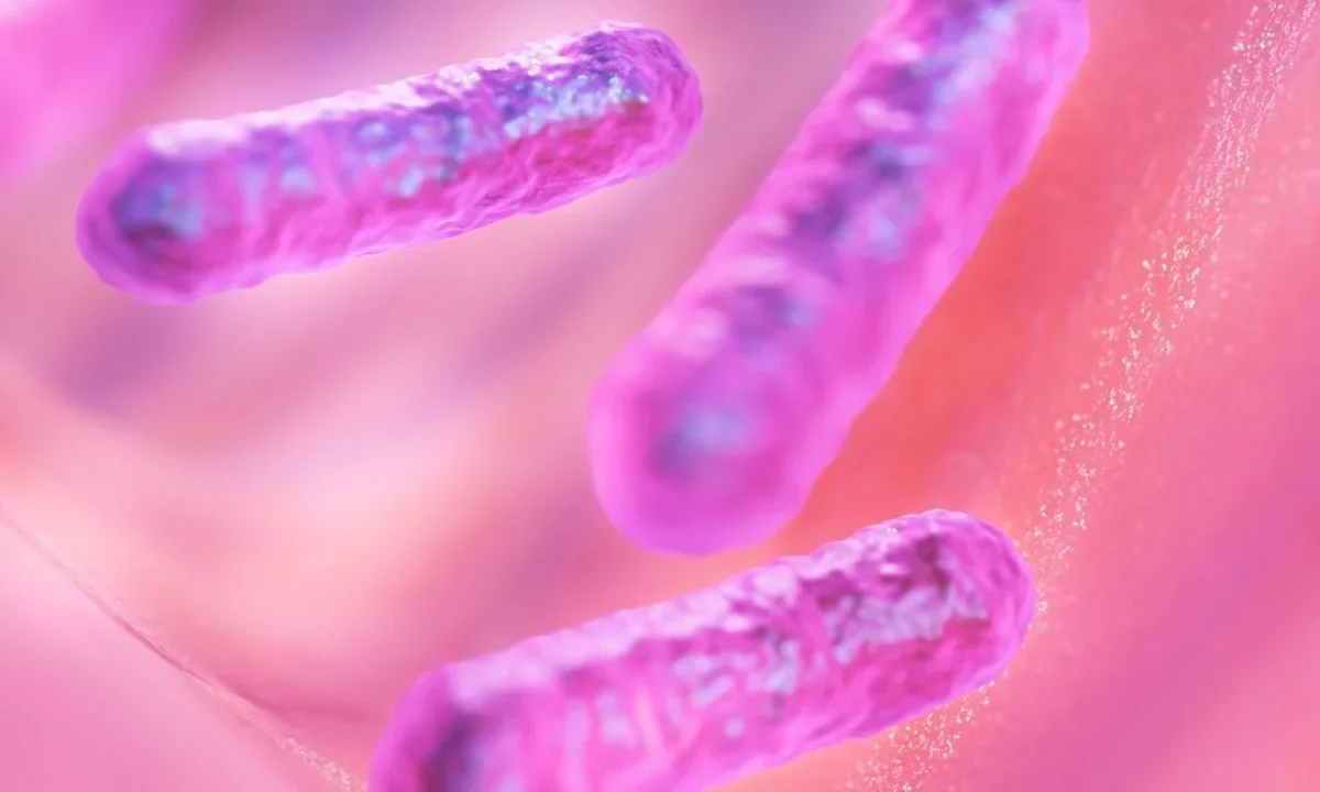 Aguas cálidas empujan al norte de Estados Unidos a bacteria ‘carnívora’, reportan.