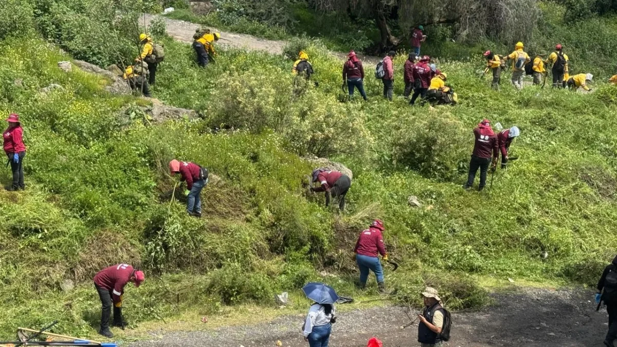 Grupos especializados de la CDMX y del Edomex se sumaron al operativo en Sierra de Guadalupe para buscar indicios de 250 desaparecidos.