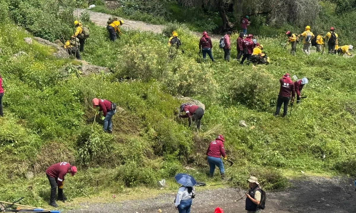 Grupos especializados de la CDMX y del Edomex se sumaron al operativo en Sierra de Guadalupe para buscar indicios de 250 desaparecidos.