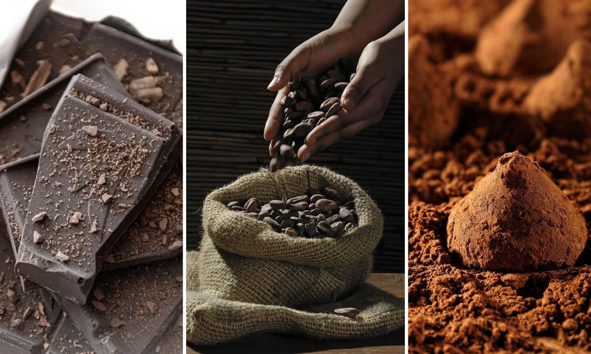 Cacao, cocoa y chocolate: ¿Cuál es la diferencia entre cada uno?