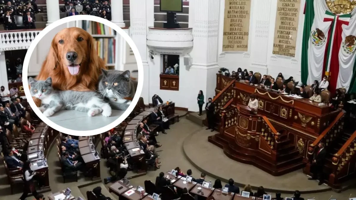 Diputadas celebran la aprobación de la reforma que reconoce a los animales como seres sintientes en el Congreso de la CDMX.