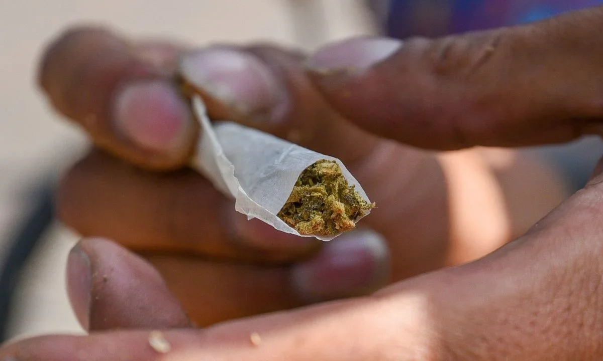 ¿Cuánta cantidad legal de marihuana se puede portar en CDMX?