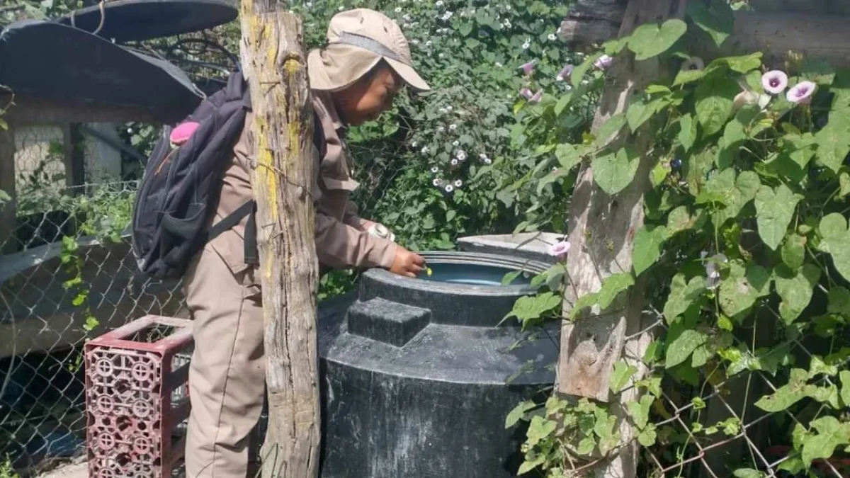 A través del control larvario del mosquito, se protege a los habitantes de Campeche del dengue.