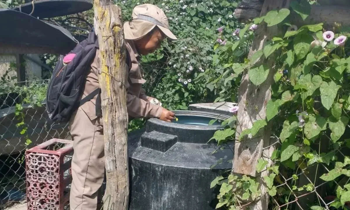 A través del control larvario del mosquito, se protege a los habitantes de Campeche del dengue.