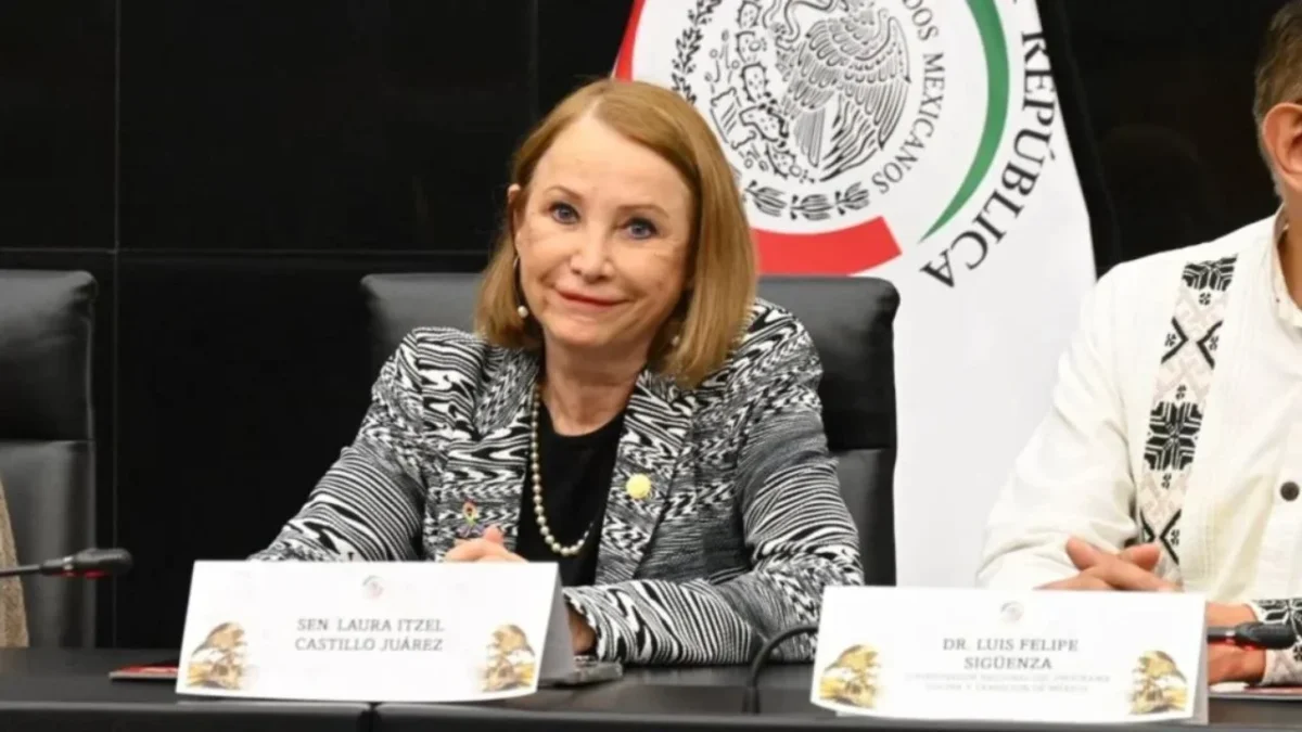 Ella es Laura Itzel Castillo, próxima presidenta del Senado
