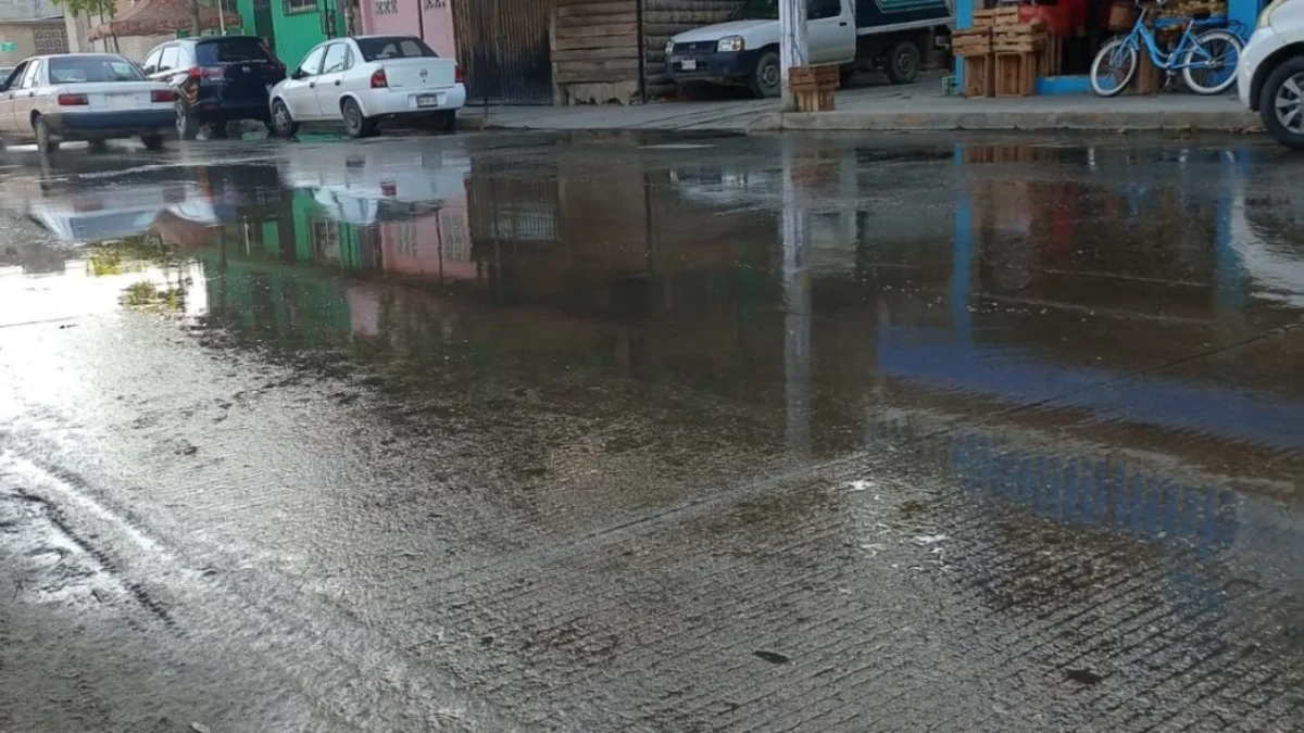 Vecinos de Las Crucitas en Acapulco denuncian que llevan más de 15 días caminando entre aguas negras y desechos.