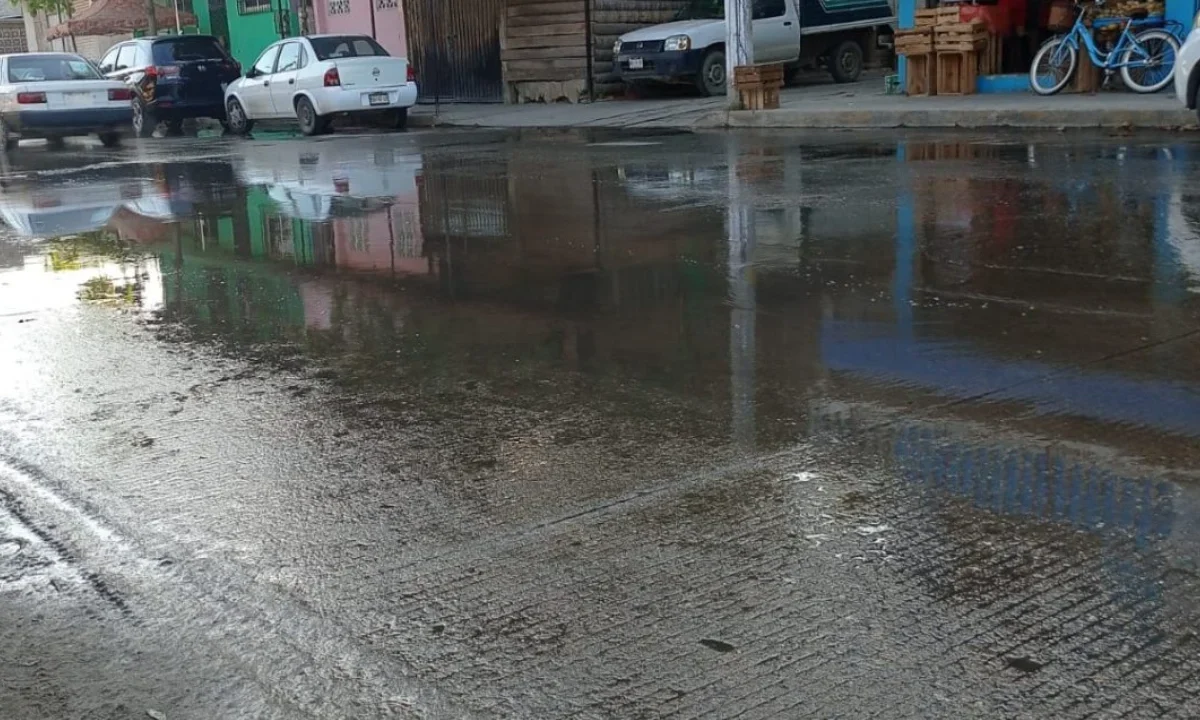 Vecinos de Las Crucitas en Acapulco denuncian que llevan más de 15 días caminando entre aguas negras y desechos.