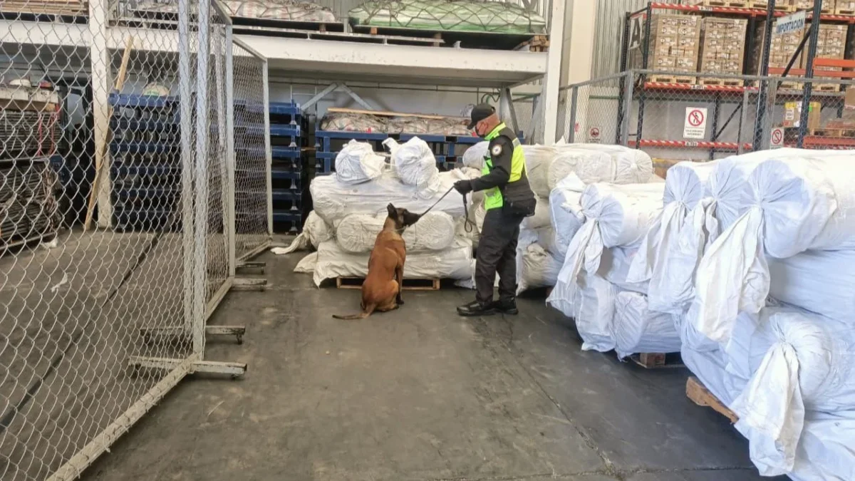 Cocaína asegurada en Baja California