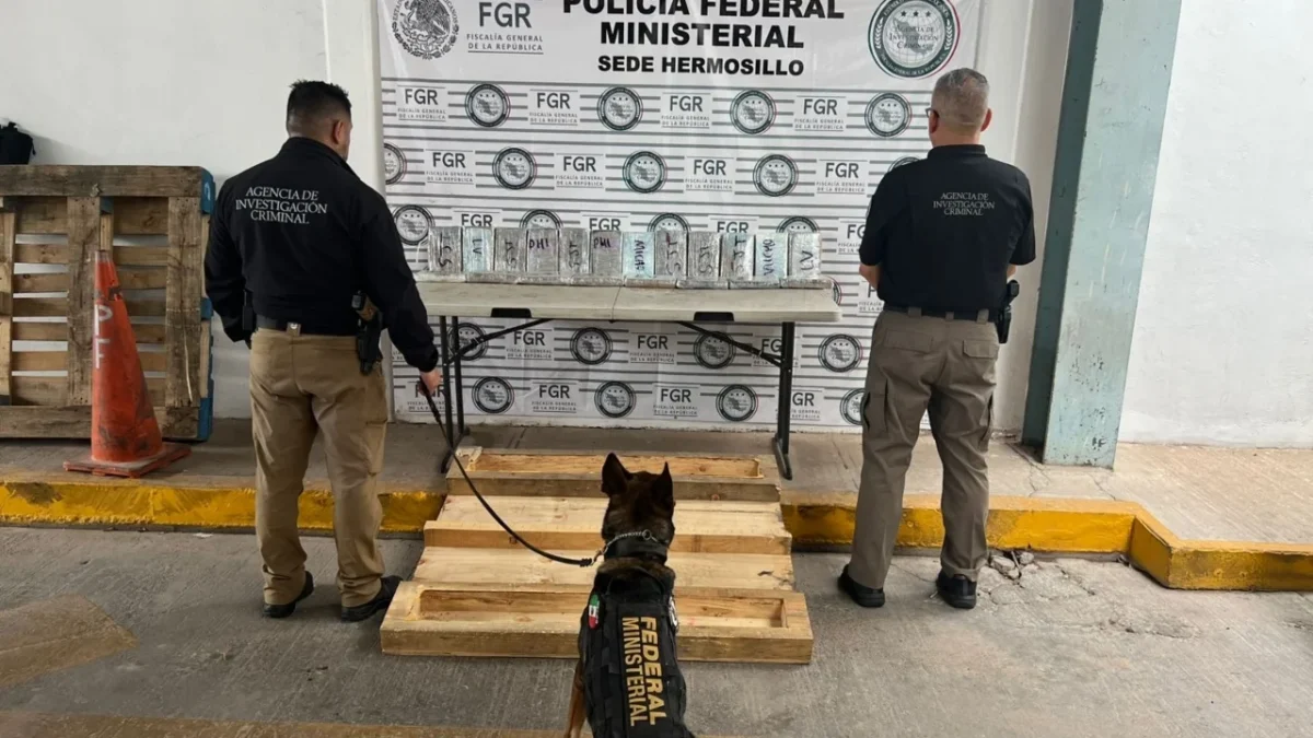 Un perro entrenado por EU apoyó a la FGR en Hermosillo para detectar 22 kilos de presunto fentanilo, esto en lucha contra el narco en México.