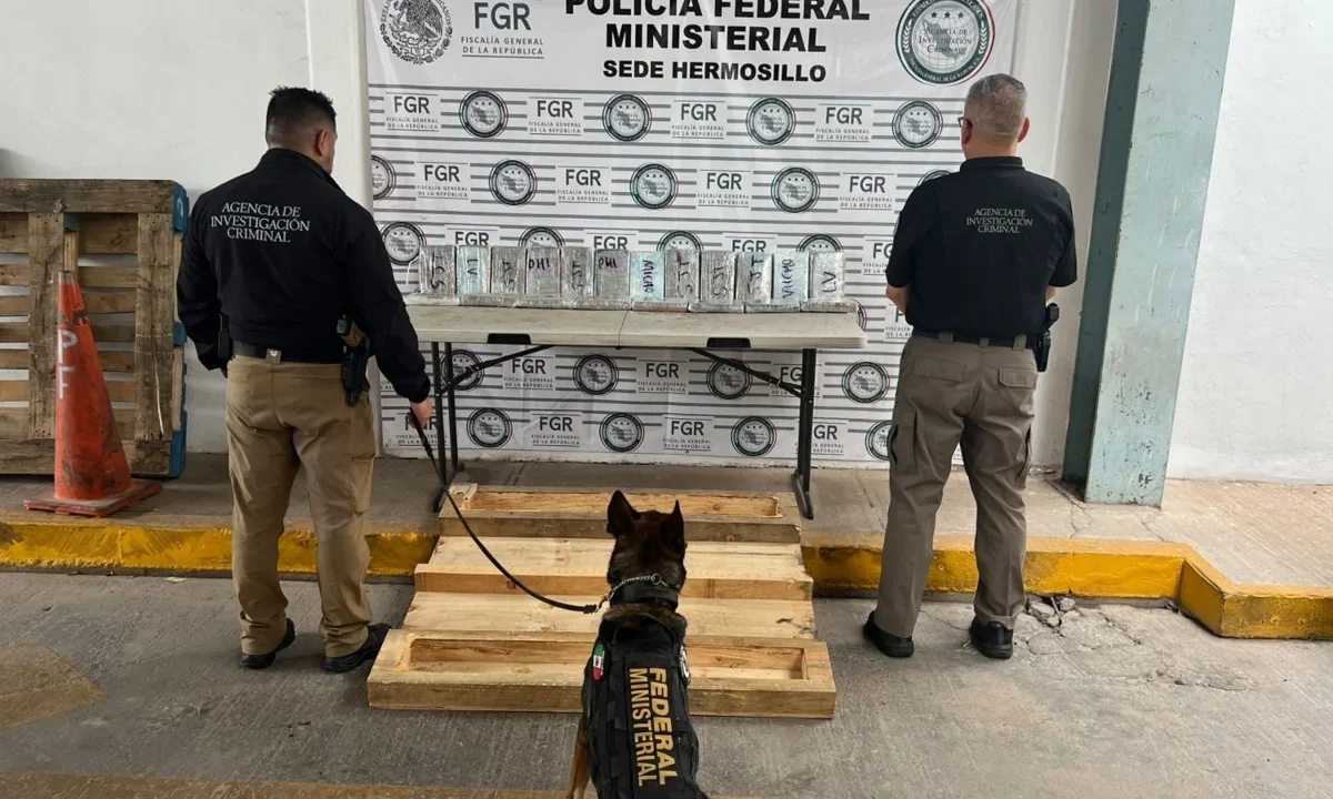 Un perro entrenado por EU apoyó a la FGR en Hermosillo para detectar 22 kilos de presunto fentanilo, esto en lucha contra el narco en México.
